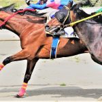 競馬セブンってどう？？