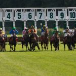 競馬の予想をする為の情報収集について