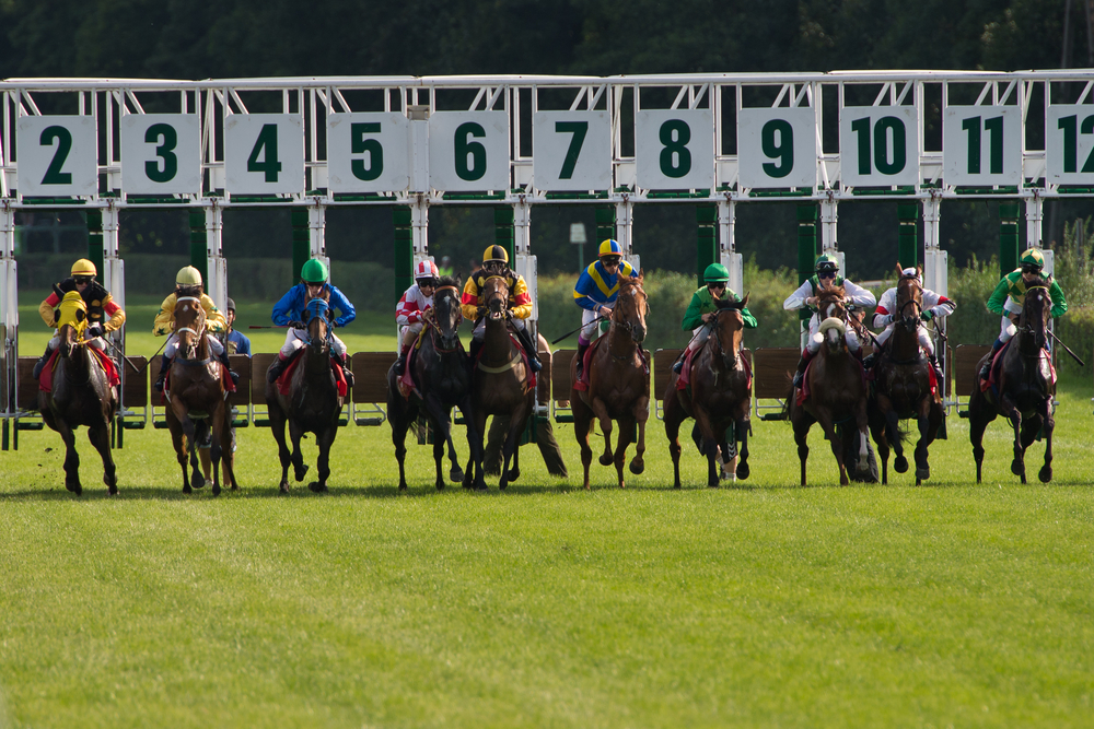 競馬の予想をする為の情報収集について