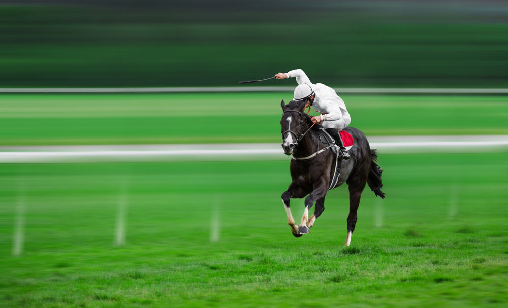 お金の問題。競馬予想がベッティング戦略に与える影響